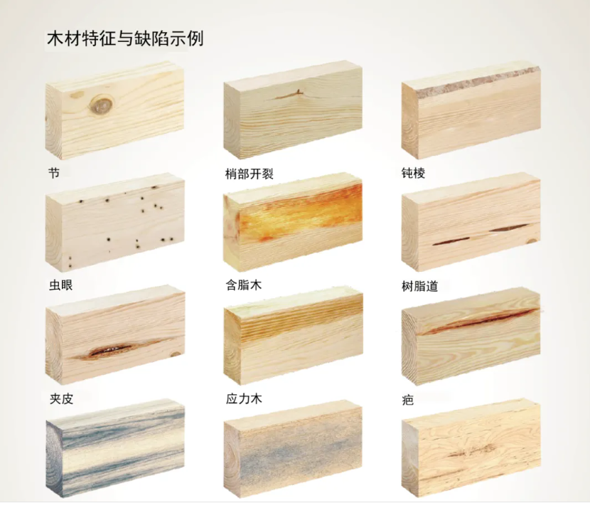 干材分选全流程拆解:智能评等如何提升锯材价值出材率! 干材分选全流程拆解:智能评等如何提升锯材价值出材率!