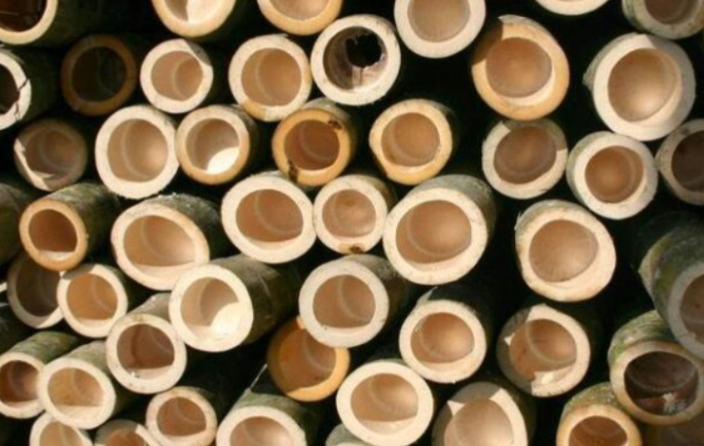 “以竹代塑”实践:竹基板材、竹材三素和竹基添加材料! “以竹代塑”实践:竹基板材、竹材三素和竹基添加材料!