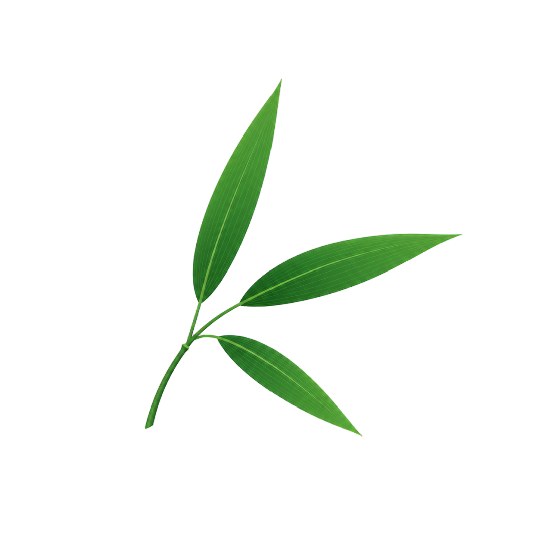 许斌:别只盯着竹吸管!“以竹代塑”的真正蓝海在这三个方向 许斌:别只盯着竹吸管!“以竹代塑”的真正蓝海在这三个方向