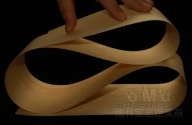 木头，亮了！南林团队突破性“透明竹木”，正在重新定义家居表面材料！