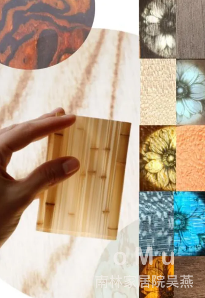 木头，亮了！南林团队突破性“透明竹木”，正在重新定义家居表面材料！