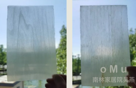 木头，亮了！南林团队突破性“透明竹木”，正在重新定义家居表面材料！