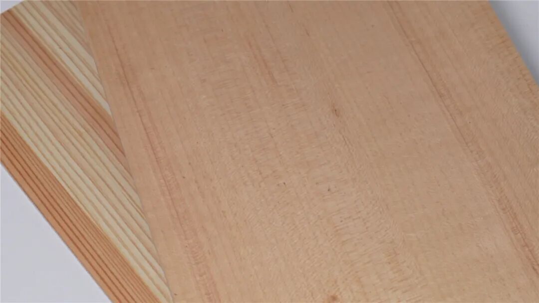 盘点:2025家居饰面十大创新材料