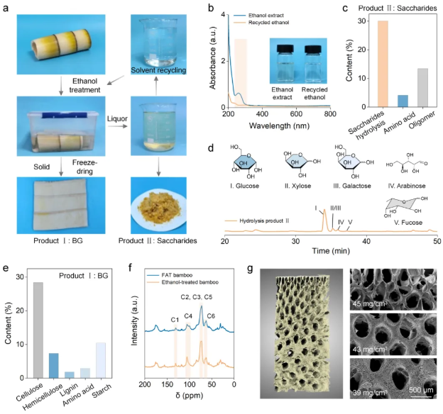 嫩竹变泡沫：梯度孔隙结构如何实现隔热吸声双效合一！
