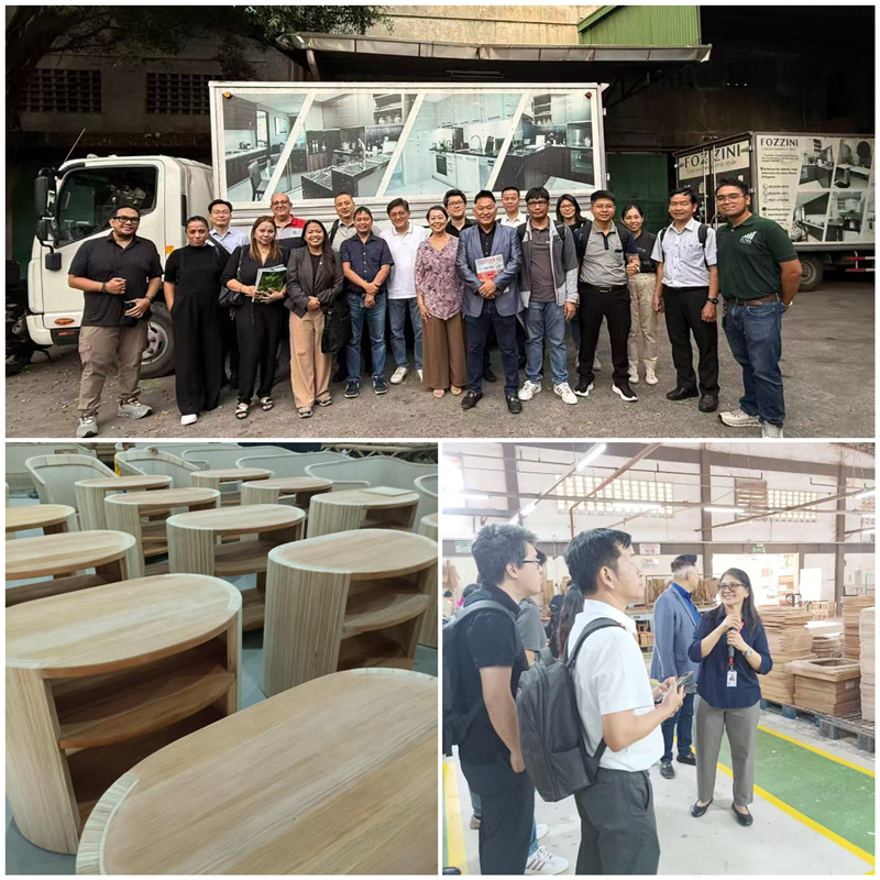 菲律宾家具产业考察报告——潜力蓝海中的机遇与挑战