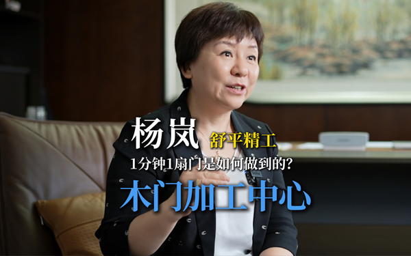 杨岚：舒平精工，一分钟一扇门是如何做到的？