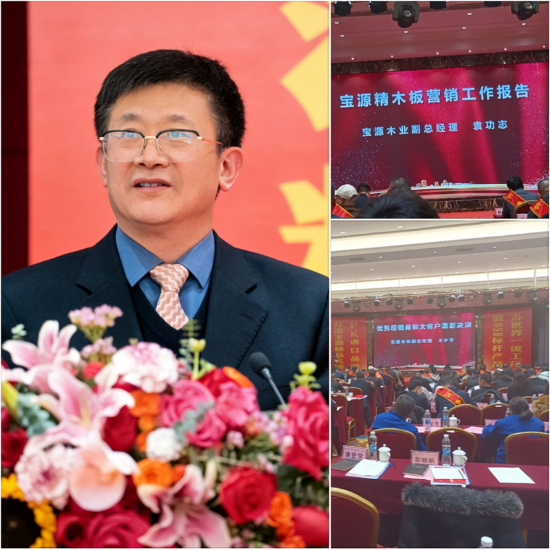宝源木业召开经销商大会 系统复盘2025经营成果，明确2026发展方向