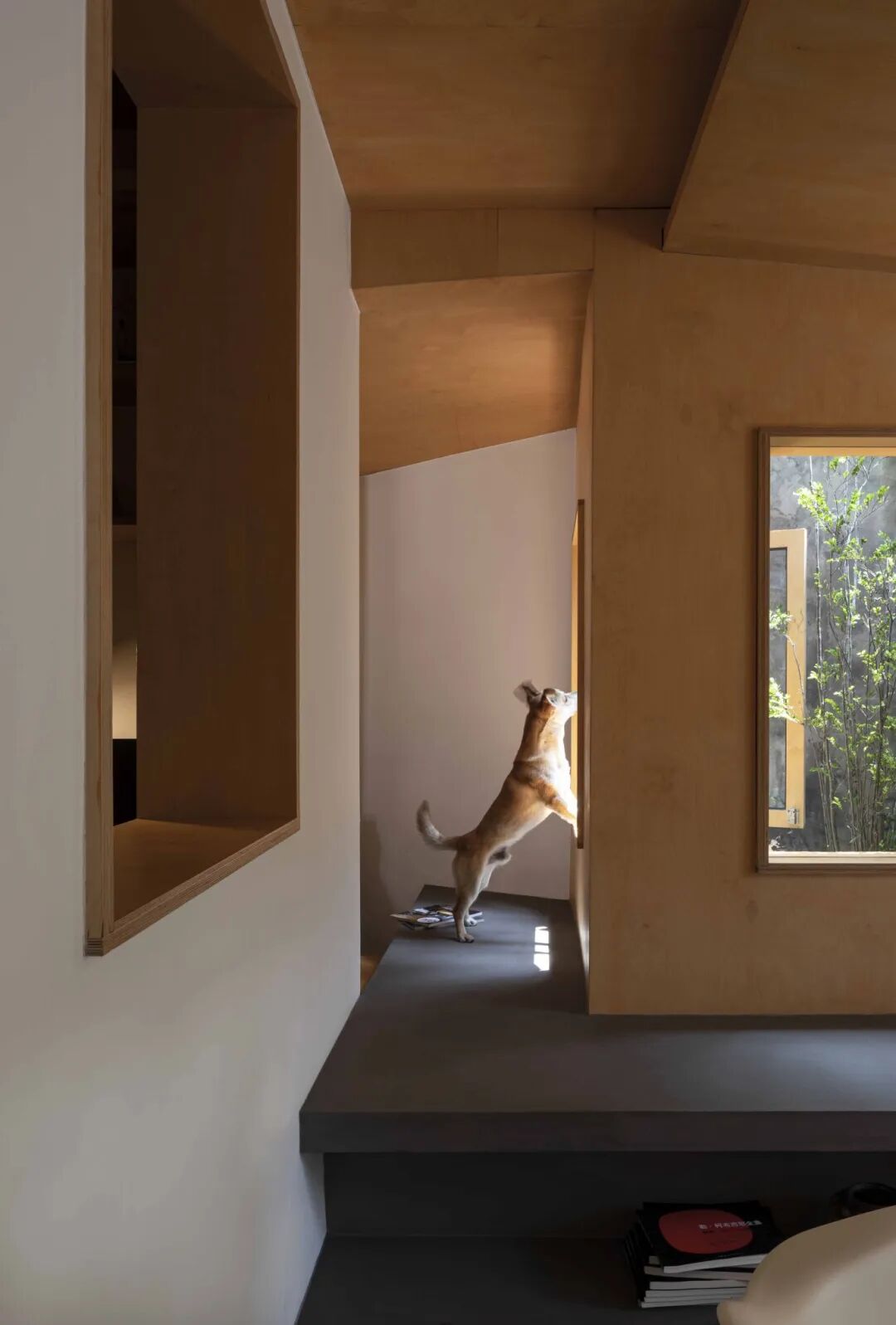 空间设计：设计不仅解决问题，更是情感的桥梁