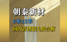 朝泰新材：6米x2米 国内首创超大胶合板