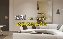 宝源无醛三防精修板：防潮·防霉·防变形