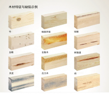 干材分选全流程拆解：智能评等如何提升锯材价值出材率!
