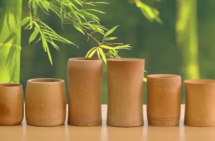 “以竹代塑”实践：竹基板材、竹材三素和竹基添加材料！