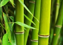 竹子不等于天然负碳材料，家具行业如何看待竹基材料的低碳价值