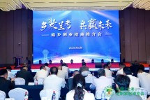 第三届中国·兰考定制家居博览会盛大开幕！